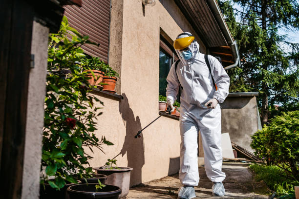 Professional Pest Control in Holly Springs, NC