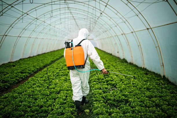 Best Residential Pest Control  in Holly Springs, NC