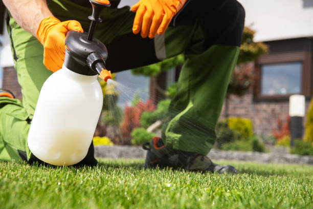 Best Pest Inspection Near Me  in Holly Springs, NC