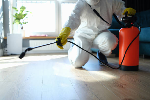Best Pest Control Near Me in Holly Springs, NC