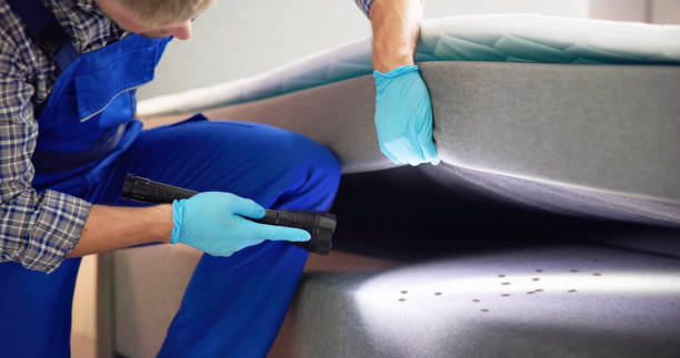 Best Best Pest Control Near Me  in Holly Springs, NC