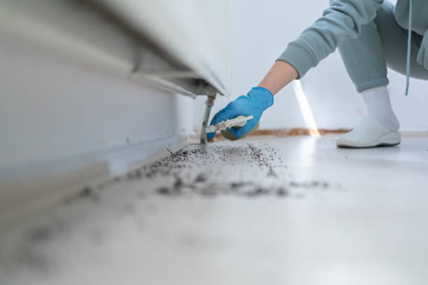 Best Mosquito Control Services  in Holly Springs, NC