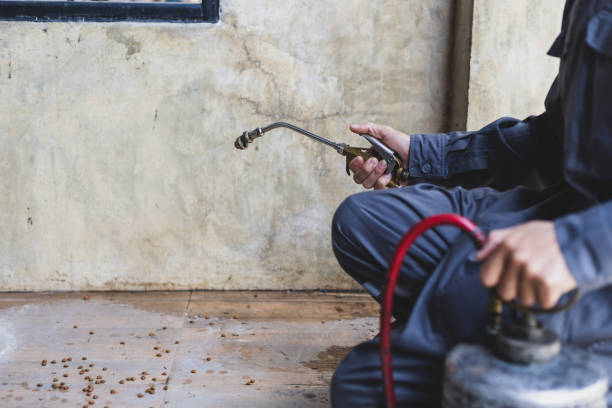 Best Best Pest Control Companies  in Holly Springs, NC